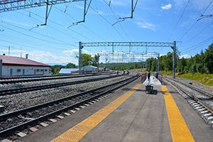 Станция Андриановская