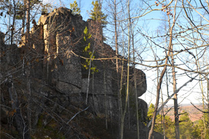 скальник Курумный