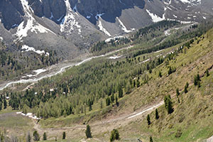 Альплагерь «Актру», палаточный лагерь и горный центр «Алтай-Актру»